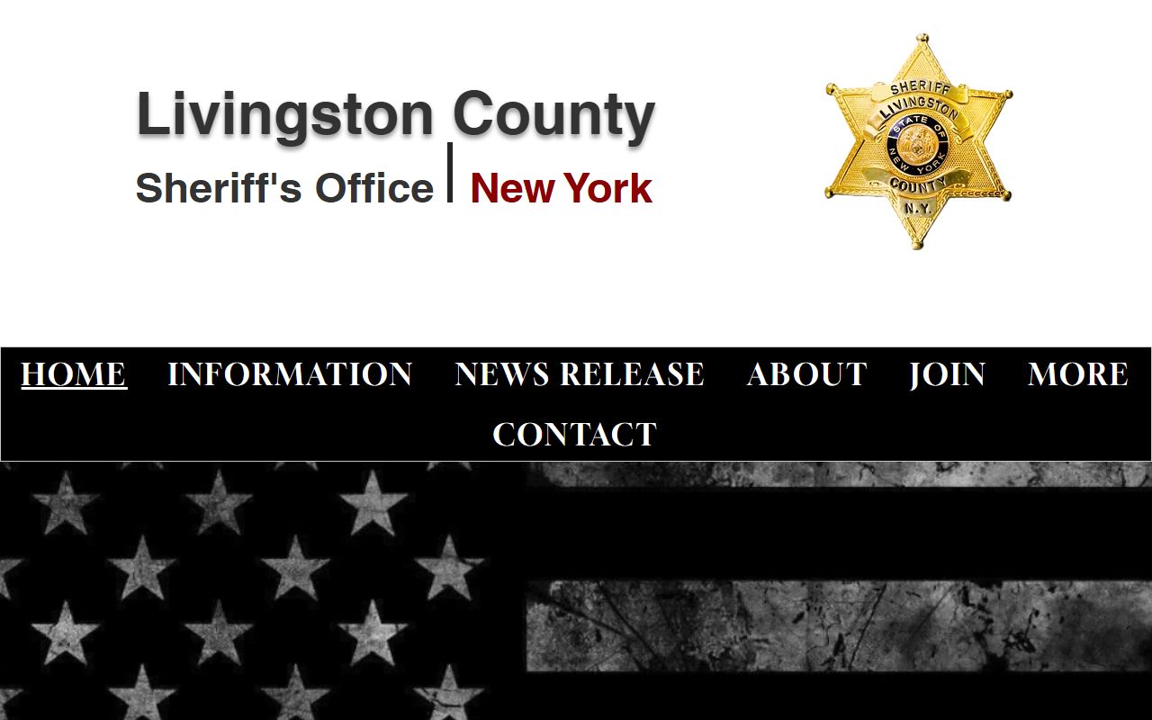 Livingston County Sheriff's Office website for jail mugshots